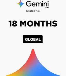 Gemini Pro 18 meses - 2 TB